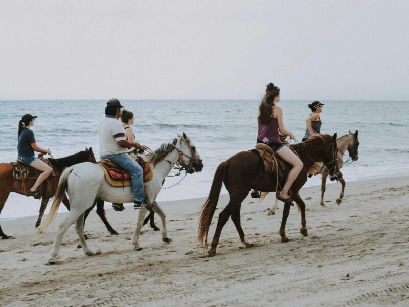 Riding horses in Hawaii